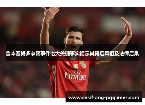 鲁本塞梅多家暴事件七大关键事实揭示其背后真相及法律后果